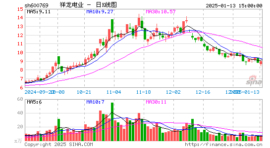 祥龙电业