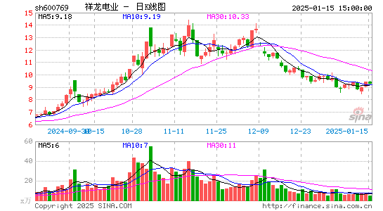 祥龙电业