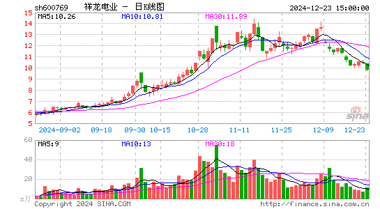 祥龙电业