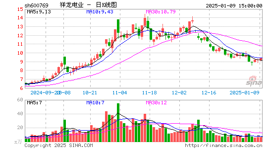 祥龙电业