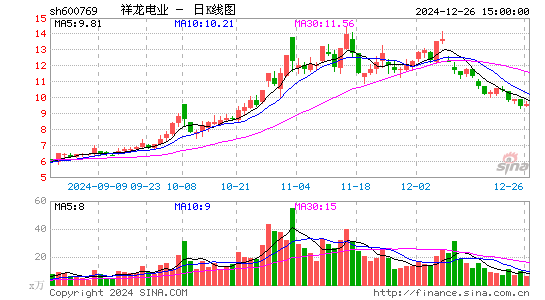 祥龙电业