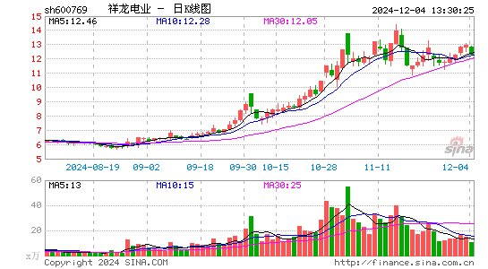 祥龙电业