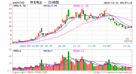 祥龙电业