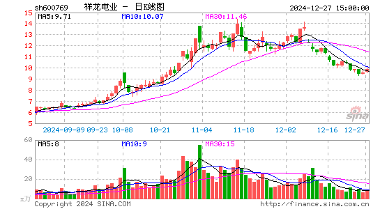 祥龙电业