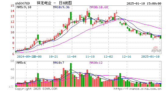 祥龙电业