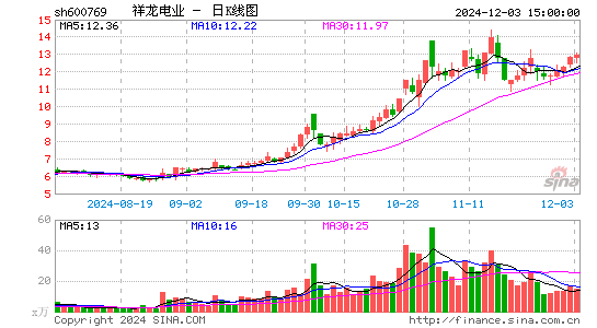 祥龙电业