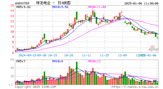 祥龙电业