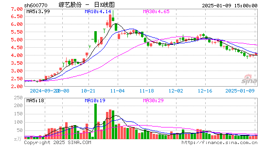 综艺股份