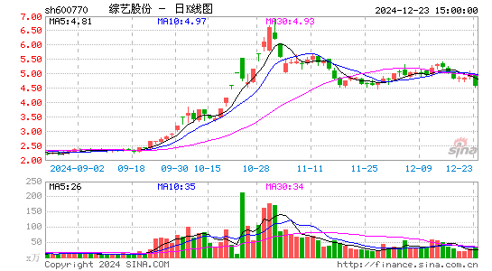 综艺股份