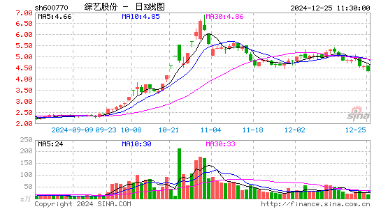 综艺股份