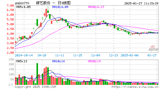 综艺股份