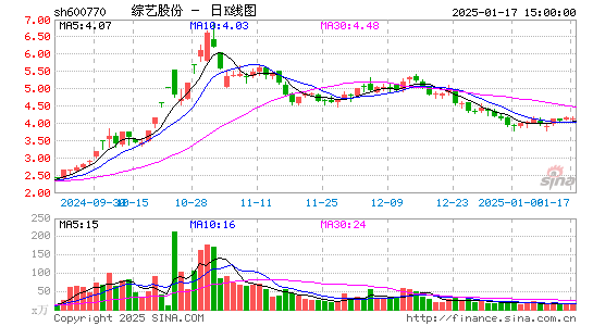 综艺股份