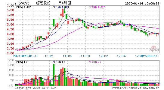 综艺股份