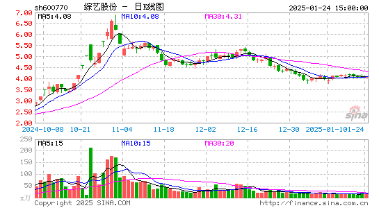 综艺股份