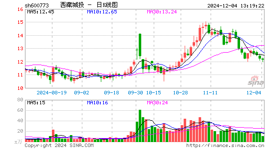 西藏城投