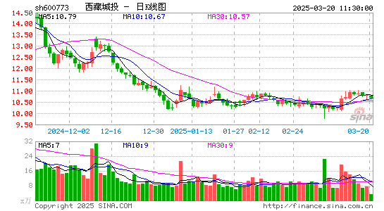 西藏城投