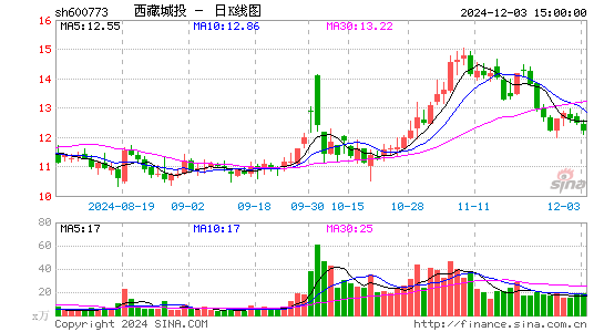 西藏城投