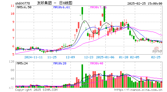 友好集团