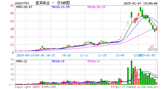 宜宾纸业