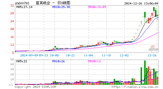 宜宾纸业