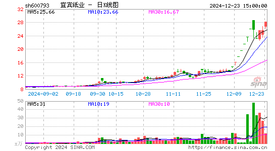 宜宾纸业