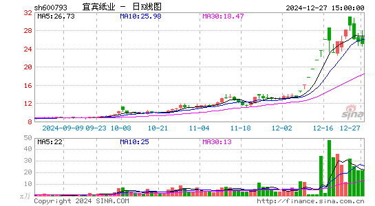 宜宾纸业