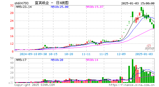 宜宾纸业