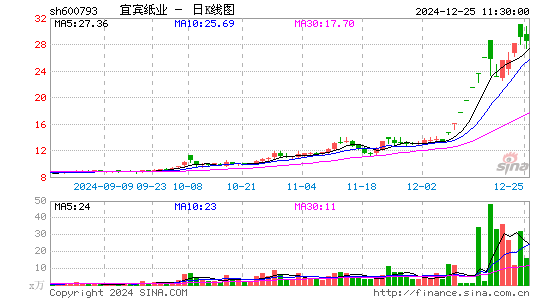 宜宾纸业