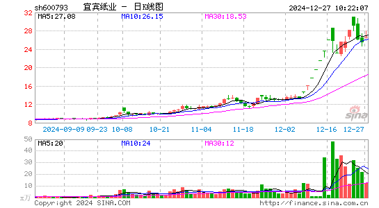 宜宾纸业