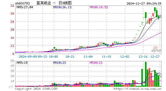 宜宾纸业