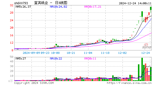 宜宾纸业