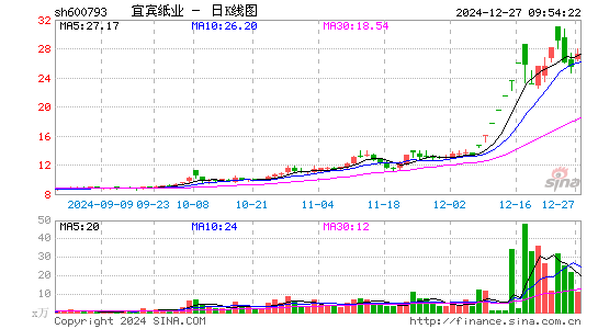 宜宾纸业