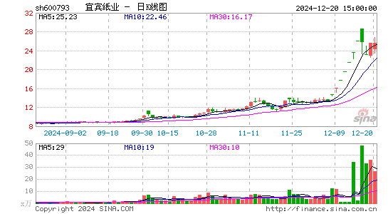 宜宾纸业