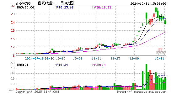 宜宾纸业