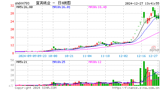 宜宾纸业