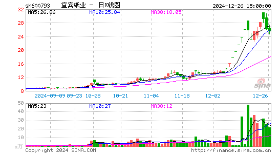 宜宾纸业