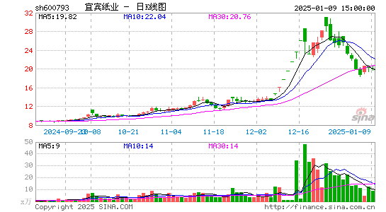 宜宾纸业