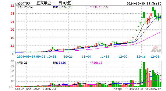 宜宾纸业