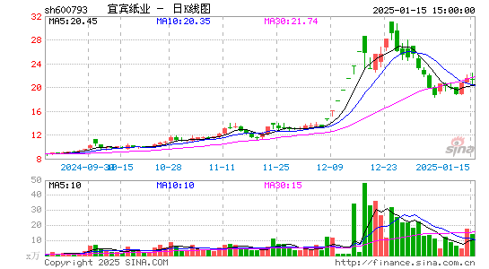 宜宾纸业