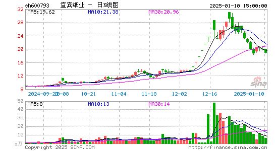 宜宾纸业