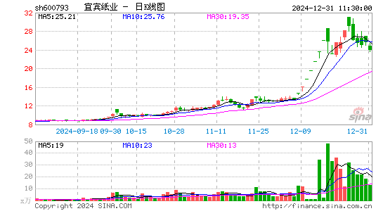 宜宾纸业