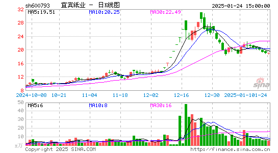 宜宾纸业