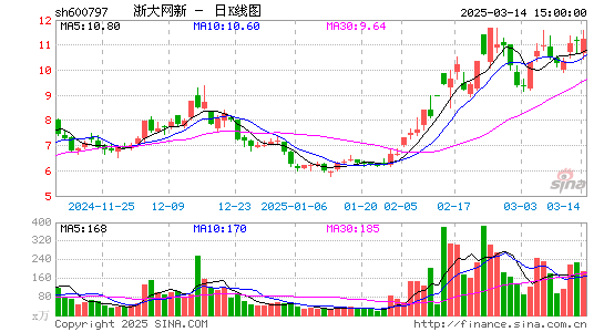 浙大网新