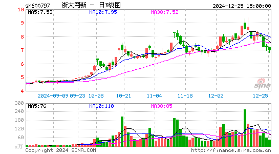 浙大网新