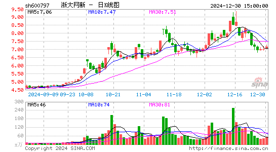 浙大网新