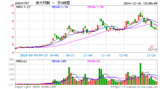 浙大网新