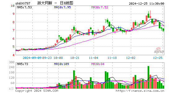 浙大网新