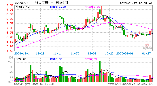 浙大网新