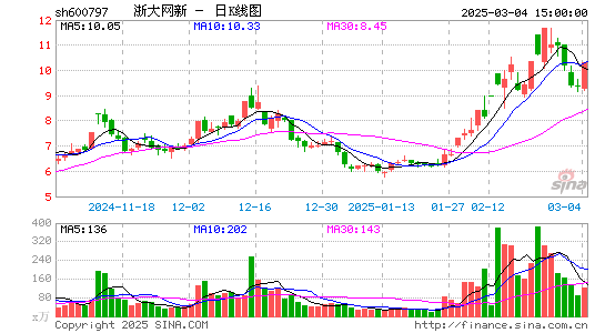 浙大网新