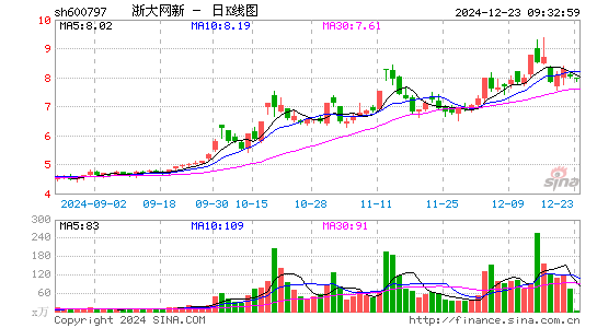 浙大网新